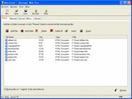 Encrypt Web Pro screenshot